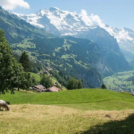 Hunnenfluh Apartment